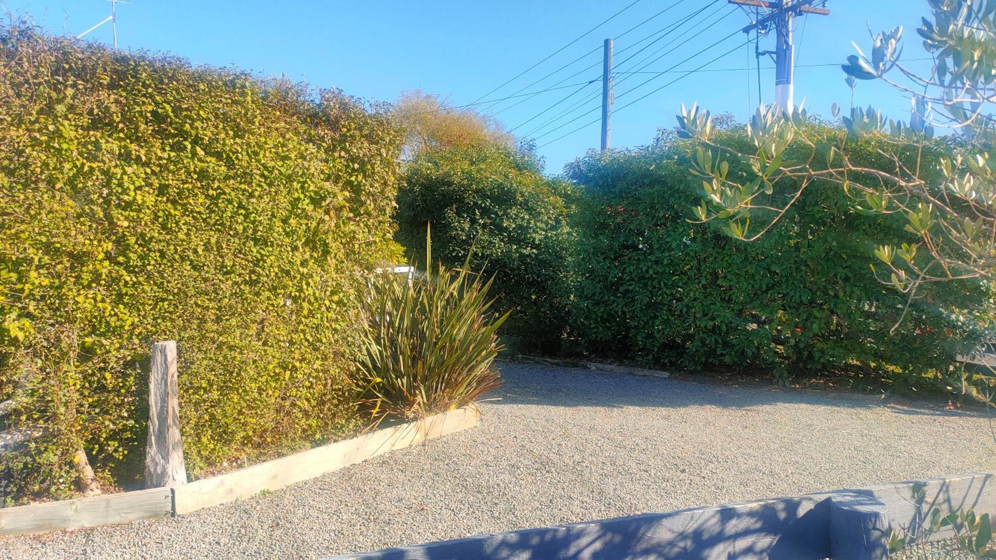 Tui Cottage Martinborough Ngoại thất bức ảnh